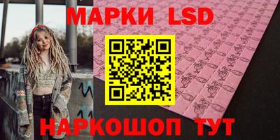 стаф Сланцы